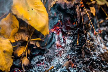 Burning. Autumn bonfire with smoke. Yellow leaves in the smoke.