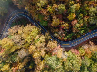 Aerial View of the Tail of the Dragon road near the Tennessee and North Carolina border in the Smoky Mountains in the Fall - obrazy, fototapety, plakaty
