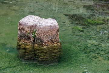 view on a stone in calm green water