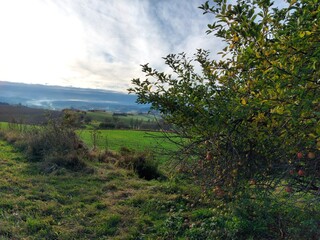 landscape with green grass and sky 
Šumava