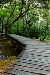 Fototapeta premium view on an old wood footbridge crossing a river in the forest