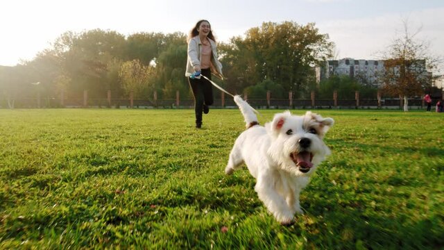 Jack Russell Terrier Dog Happily Running Through To A Girl The Grass In The Nature Park, Slow Motion V3