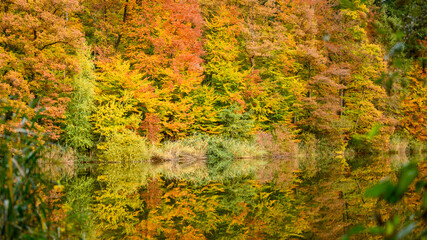 Herbst am Neuweiher (2) (2020-10)