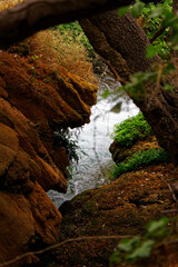 view on river through rocks and fallen tree trunks