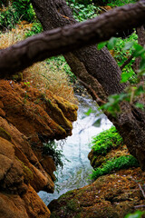 view on river through rocks and fallen tree trunks