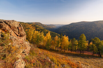 Autumn landscape in golden colors. In the foreground there are rocks, trees with yellow leaves. In the background, mountains covered with forest in the autumn haze.