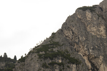 ammirare la cima delle dolomiti