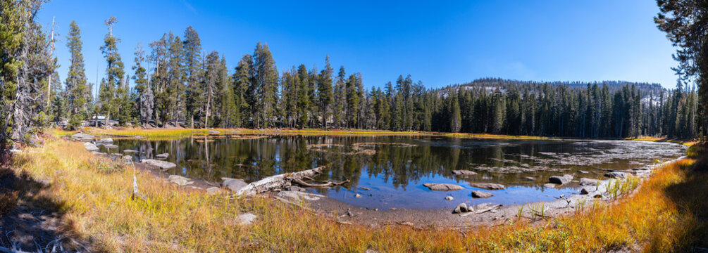 Tioga Pass Toulumn Meadows Area