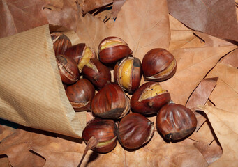 Cartridge of roasted chestnuts, with dried leaves