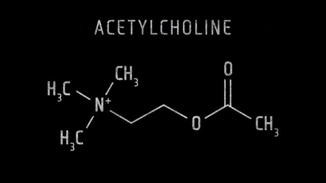 Acetylcholine or ACh Molecular Structure Symbol Sketch or Drawing Animation on black background and Green Screen
