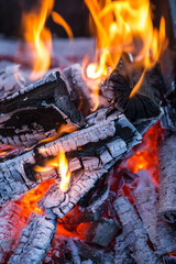 Fire, burning wood and coals close-up. Texture