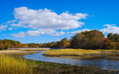 Peaceful Autumn Forest Landscape with White Clouds and River Flowing through Marsh on Cape Cod