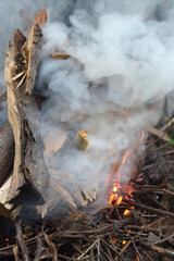 Thick swirling smoke comes from the fire