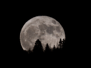 Fototapeta na wymiar Blue Moon Over Colorado