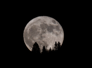 Fototapeta na wymiar Blue Moon Over Colorado