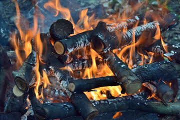 Fire burning in a fireplace
