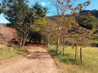 Fototapeta premium estrada