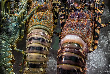 Raw lobster for sale at seafood market