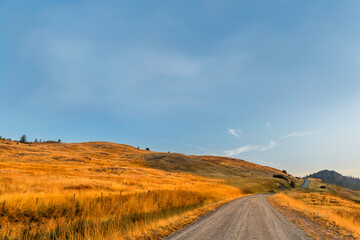 Country, dirt road leading forward, yellow steppe grass along the edges of the road, hills and individual trees ahead.