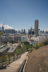 urban city skyline during clear summer day with densely packed buildings in urban setting