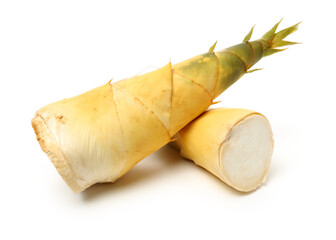 Bamboo shoot on the white background 
