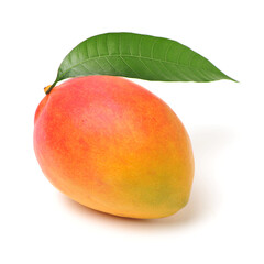 Mango on a white background