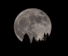 Blue Moon Over Colorado