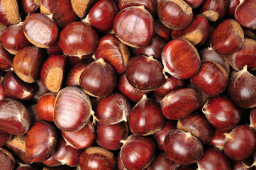close up of chestnuts