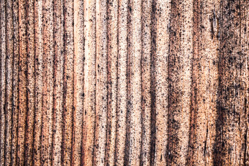 Background image. Old tree. Wooden wall. Vintage texture. Background for a postcard. natural picture.