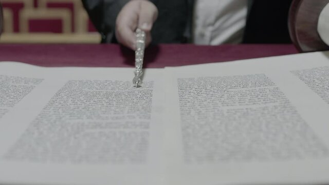 Jewish man reading a Torah scroll. Close-up