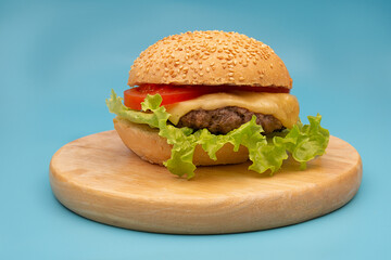 Fresh tasty burger isolated on blue background