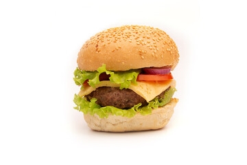 Fresh tasty burger isolated on white background