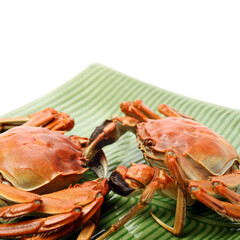 Cooked river crab isolated in white background