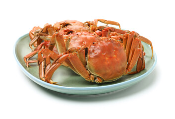 Cooked river crab isolated in white background
