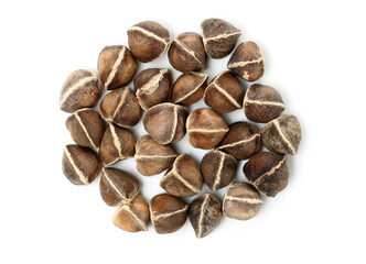 Organic Wingless Moringa (Moringa oleifera) seeds on white background