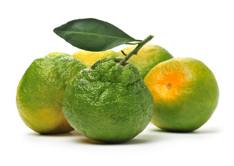 tangerine on a white background 