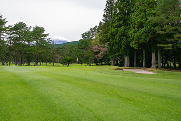 Golf Course with beautiful green field. Golf course with a rich green turf beautiful scenery.