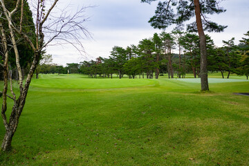 Fototapeta premium Golf Course with beautiful green field. Golf course with a rich green turf beautiful scenery.