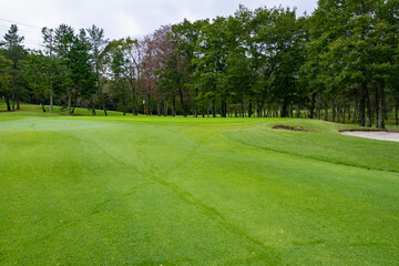 Fototapeta premium Golf Course with beautiful green field. Golf course with a rich green turf beautiful scenery.