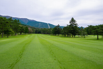 Golf Course with beautiful green field. Golf course with a rich green turf beautiful scenery.