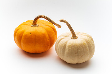 small decorative pumpkins on the white background