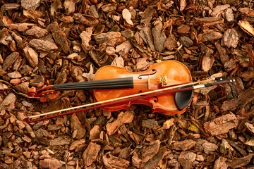 wood fiddle on wood