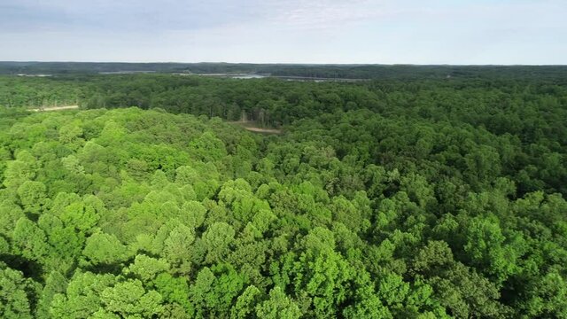 Patoka Lake 2nd Largest Reservoir in Indiana