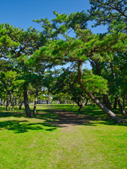 Fototapeta na wymiar 富津中の島公園の風景