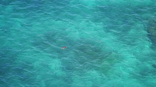 Okinawa,Japan-October 29, 2020: A sea turtle breathing on the surface of the water in Miyakojima island, Okinawa, Japan

