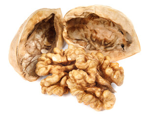 The core and shells of walnut are isolated on a white background.