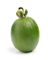 Fresh green feijoa on a white background, isolated. Tropical fruit feijoa whole and half