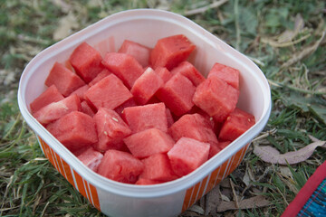 Top view of Watermelon (Citrullus lanatus) fruit cubes, in a plastic container