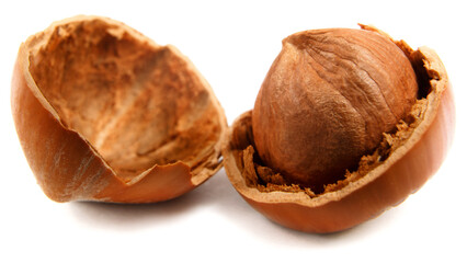 Whole core of hazelnut and hazelnut shell are isolated on white background.