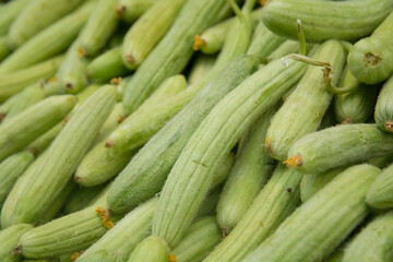 A pile of fresh Armenian cucumber (Cucumis melo var. flexuosus) for sale in the Mahane Yehuda market, Jerusalem, Israel